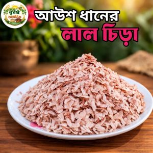আউশ ধানের লাল চিড়া